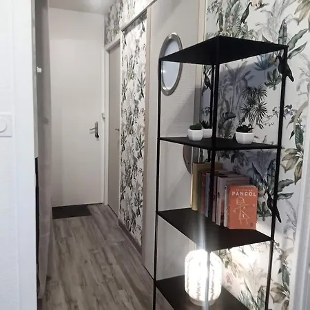 Joli T2 Très Bien Situé, Parking Couvert Lourdes